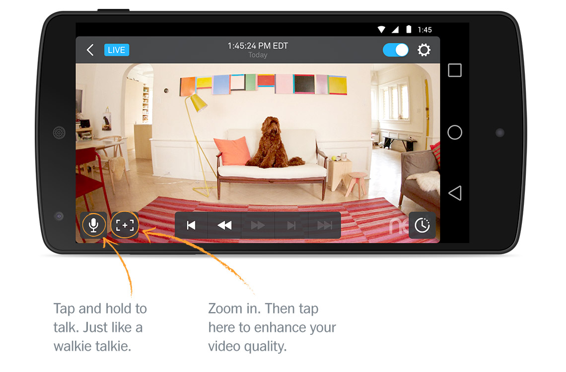 Nest cam